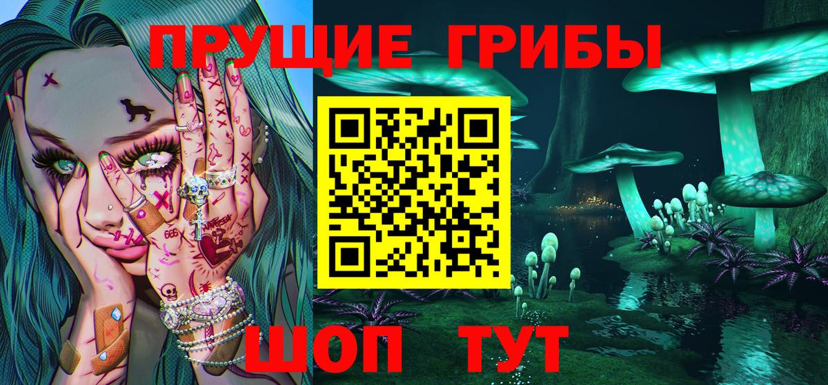 Галлюциногенные грибы Psilocybine cubensis Оренбург