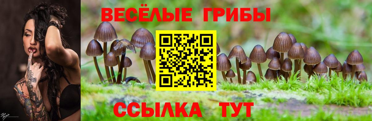 Галлюциногенные грибы мухоморы  Вход с VPN  Оренбург 